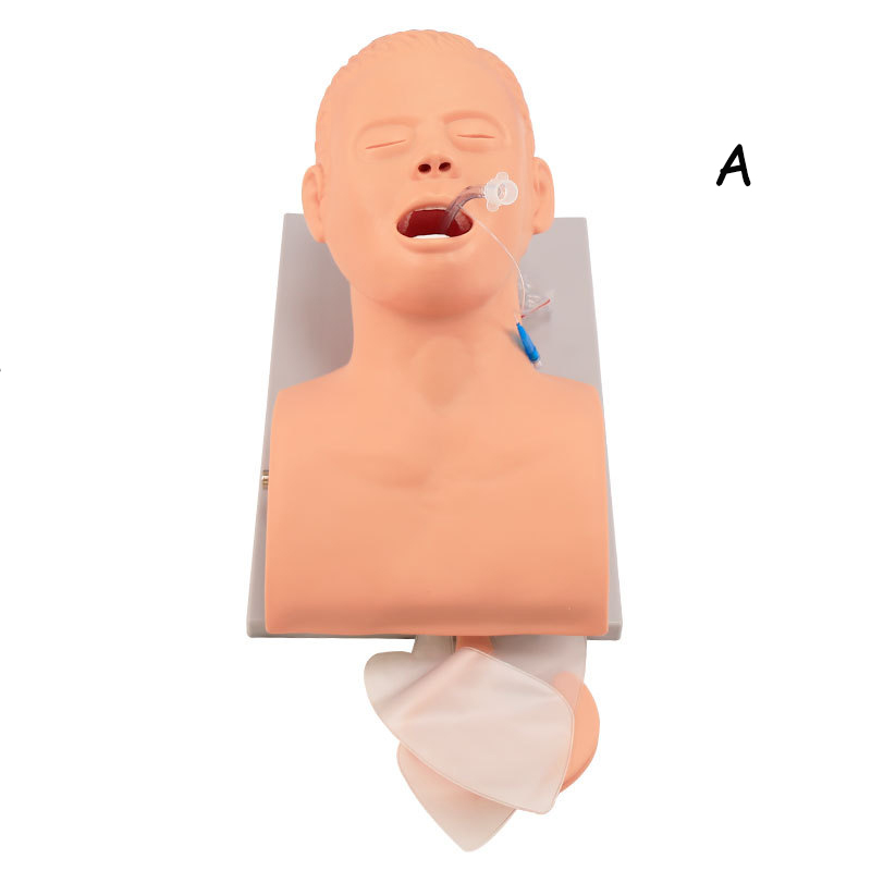 PVC Adult Intubation Manikin T - Medical Lab Management review and price