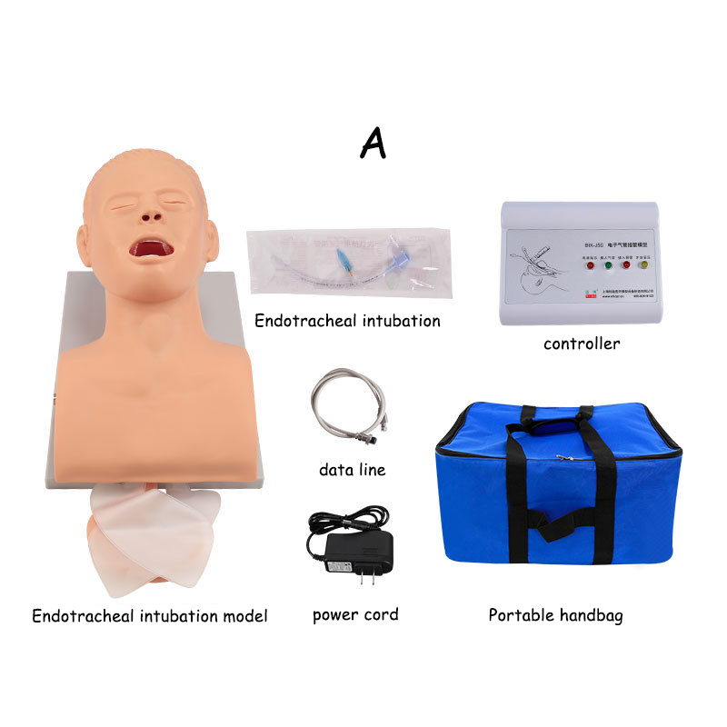PVC Adult Intubation Manikin T - Medical Lab Management review and price