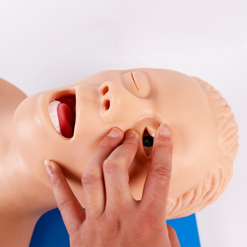 PVC Adult Intubation Manikin T - Medical Lab Management review and price