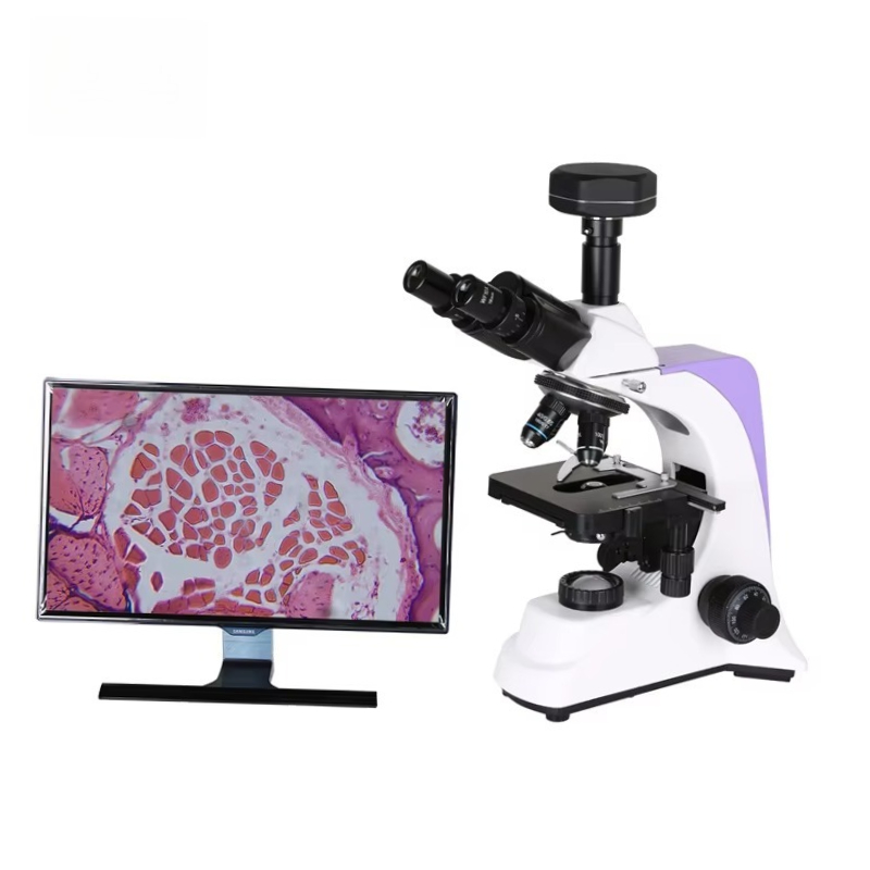2026 Medical Lab Digital Biolo - Medical Lab Scientist review and price
