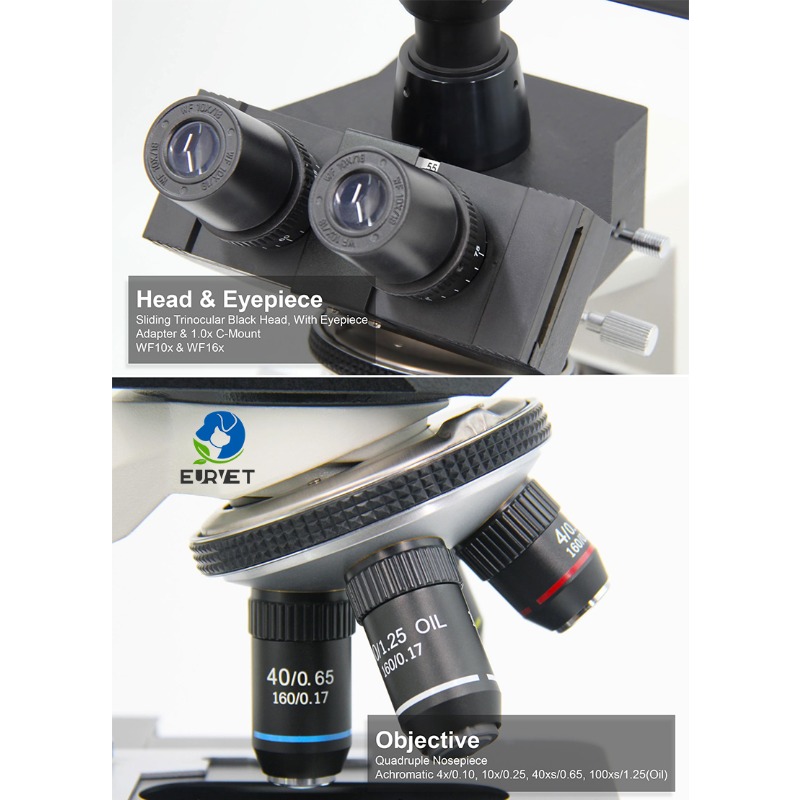 2026 Medical Lab Digital Biolo - Medical Lab Scientist review and price